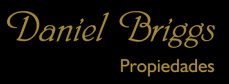 Daniel Briggs Propiedades